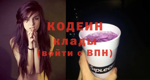 хмурый Краснослободск