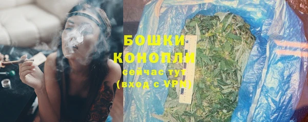 гидропоника Коряжма